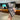 48260346741045|48260347101493|48260347363637|48260347429173|48260347527477|48260347822389|48260347855157|48260348215605|48260348444981|48260348510517|48260349100341
